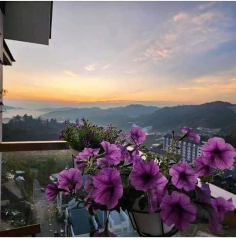 Kensington Sunrise Sg, Palas Horizon,Kea Farm Brinchang Eksteriør billede
